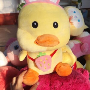 Duck With Strawberry Plush Toy