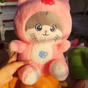 Hoodie Cat Fish Soft Toy