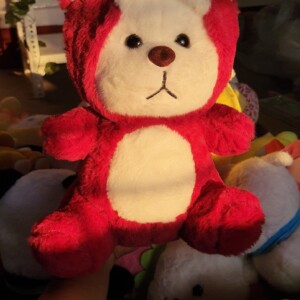 Hoodie Teddy Soft Toy
