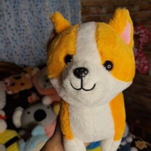 Dog Soft Toy