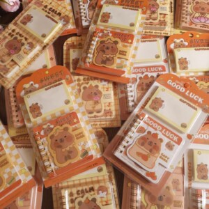 Capybara diary With stcktynote