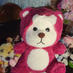 Pink Hoodie Teddy Plush Toy